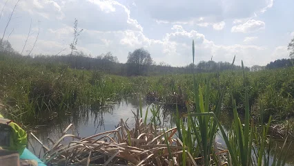 Konwaliowy Szlak Kajakowy