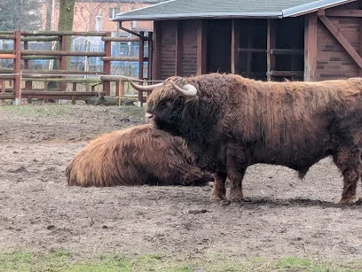 Mini Zoo w Parku Tysiąclecia