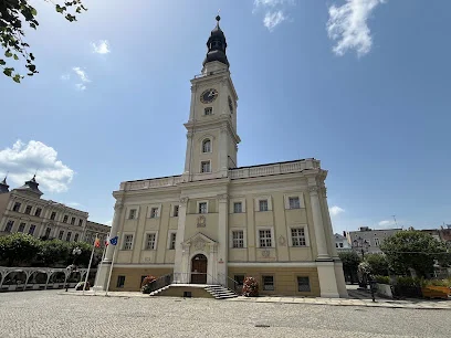 Ratusz w Lesznie