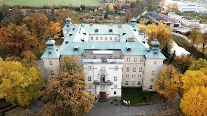Zamek w Rydzynie (Zamek królewski w Rydzynie)